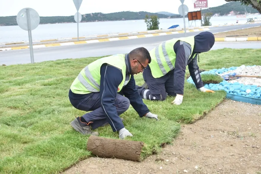 Balıkesir Büyükşehir Belediyesi, ürettiği çimleri kullanıyor