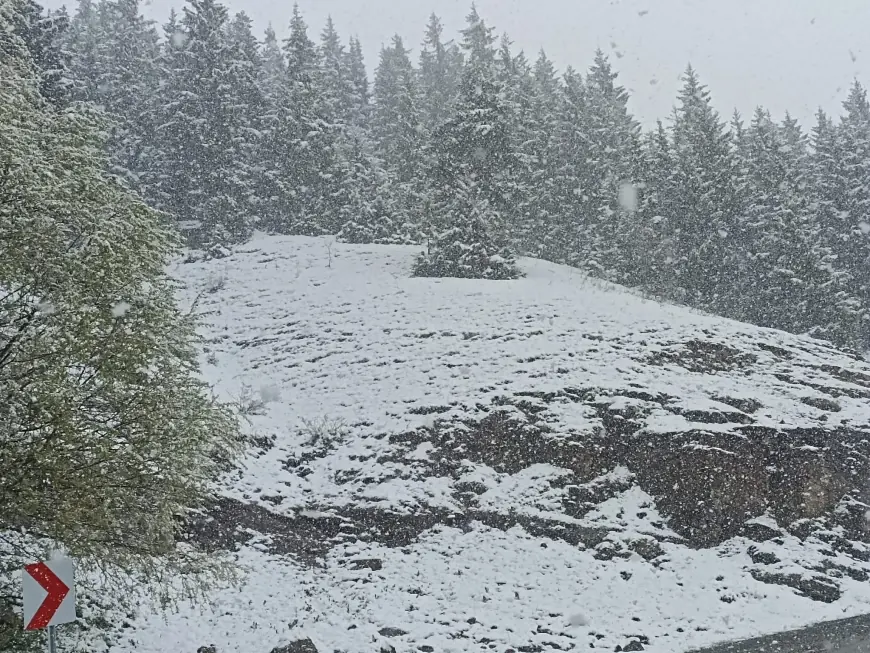 Artvin’in Ardanuç ilçesine bağlı Geçitli köyüne yağan kar, üreticiyi tedirgin etti