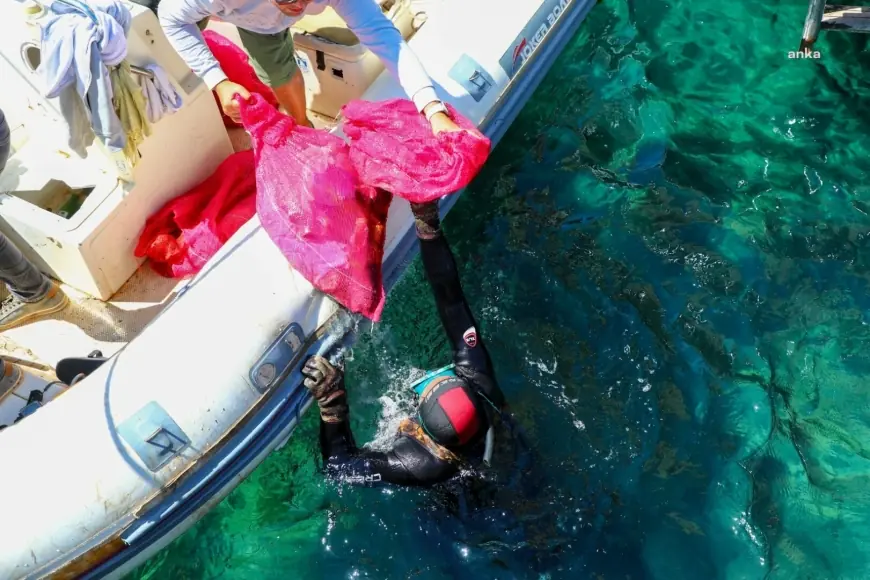 Bodrum Belediyesi'nin geleneksel deniz dibi temizliği, bu yıl Kumbahçe sahilinden başladı